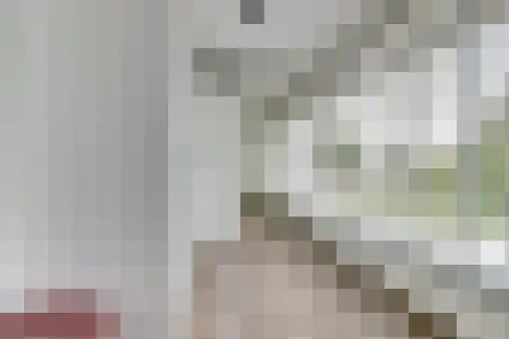 Karrestraat 13 Vlijmen thumbnail 22