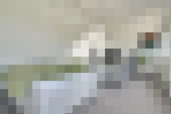 Karrestraat 13 Vlijmen thumbnail 25