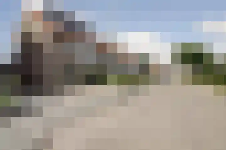 Karrestraat 13 Vlijmen thumbnail 39