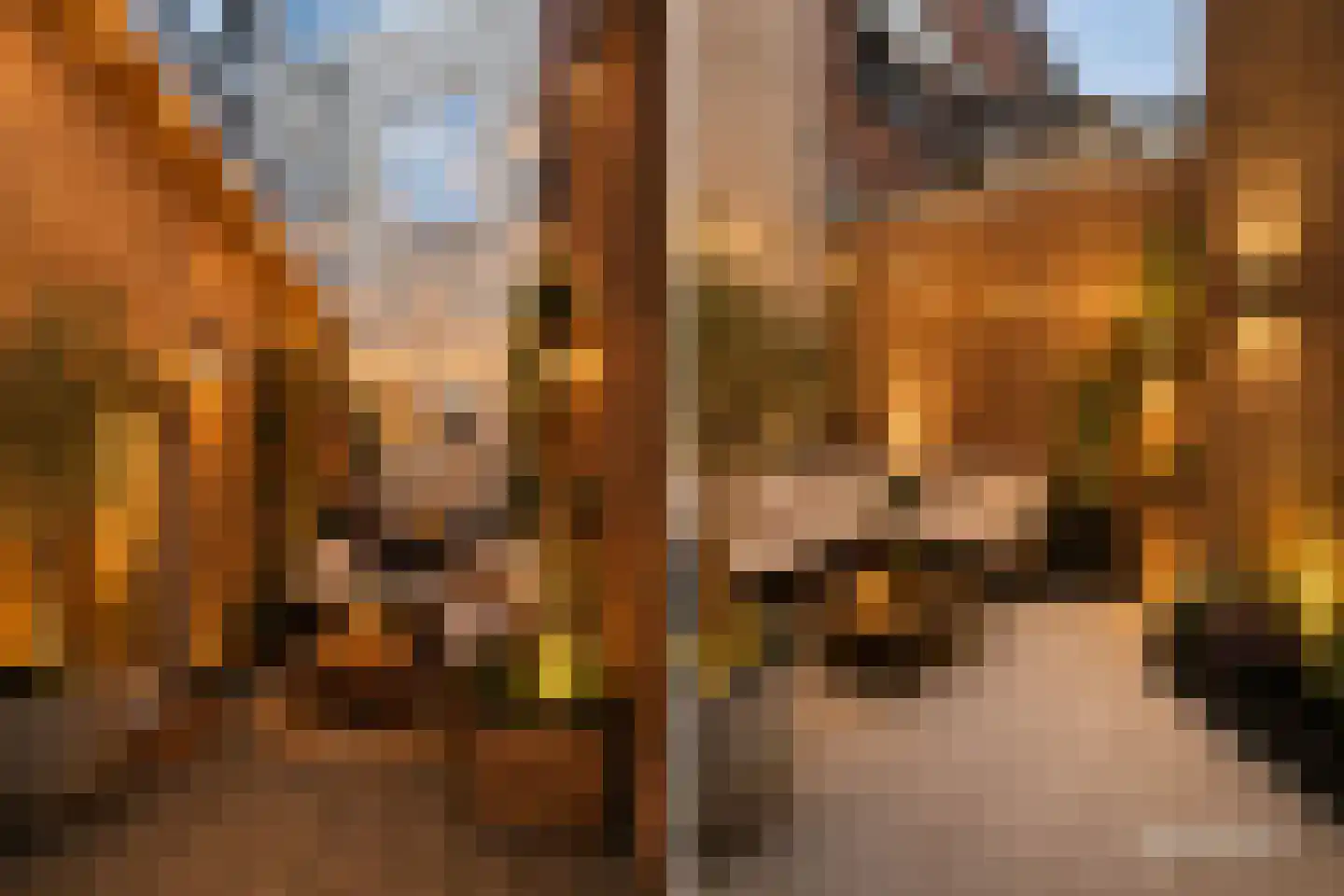 Karrestraat 5 A Breda thumbnail 4