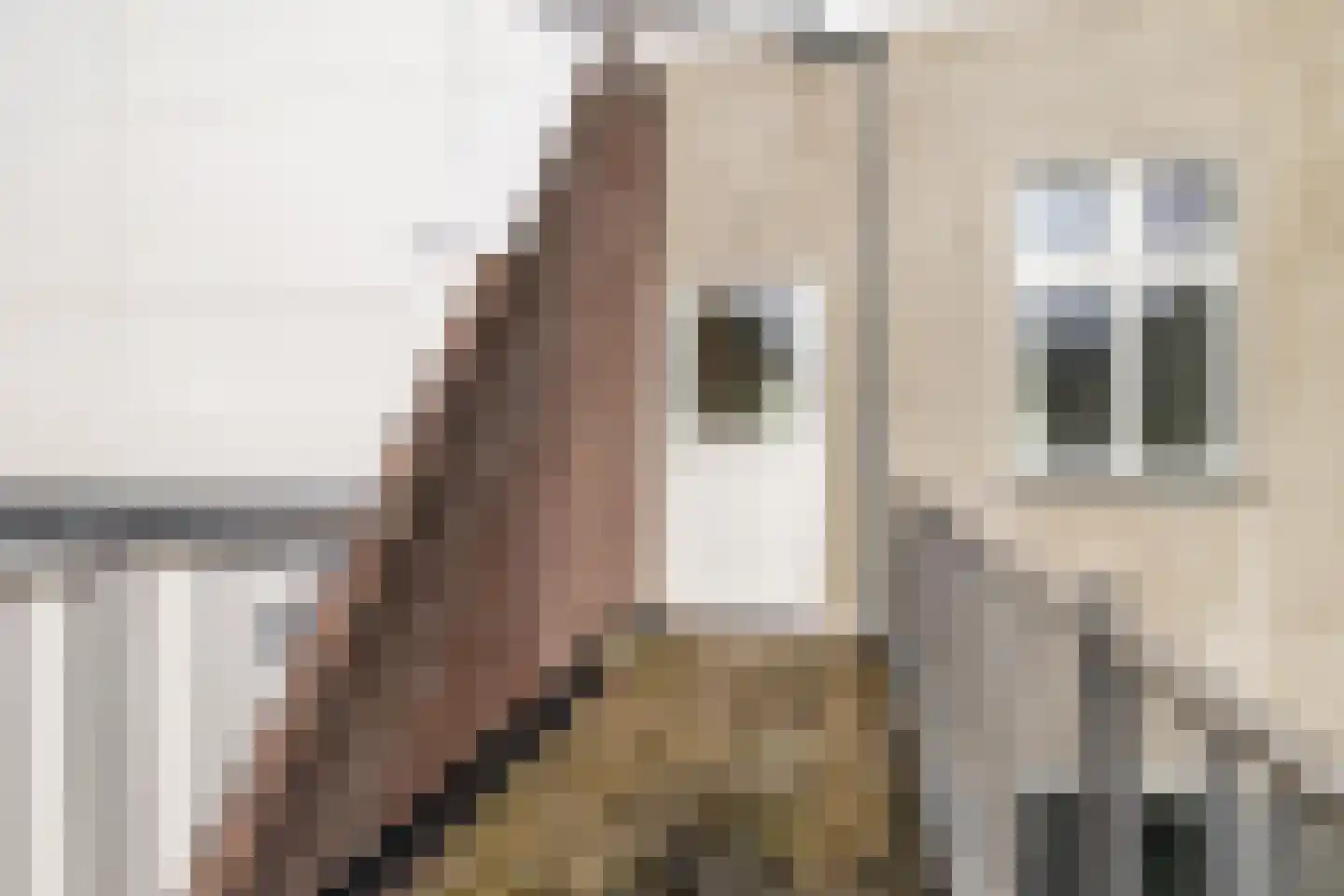 Karrestraat 5 C Breda thumbnail 9