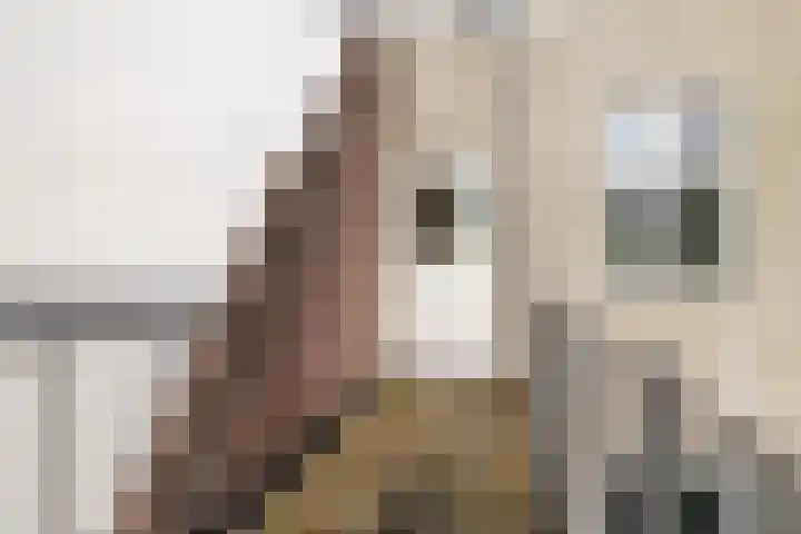 Karrestraat 5 C Breda thumbnail 9
