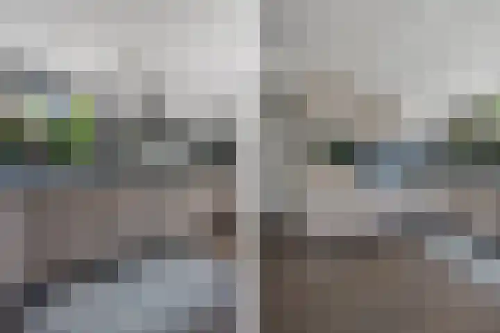 Karrestraat 6 Vlijmen thumbnail 13
