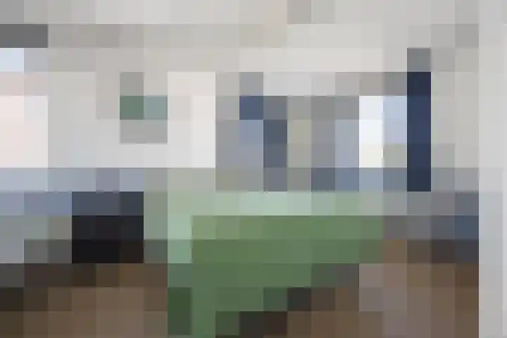 Karrestraat 6 Vlijmen thumbnail 21