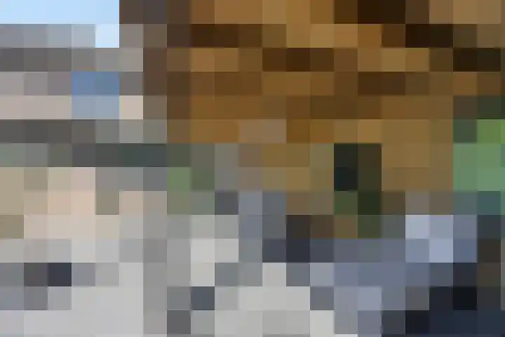 Karrestraat 6 Vlijmen thumbnail 38