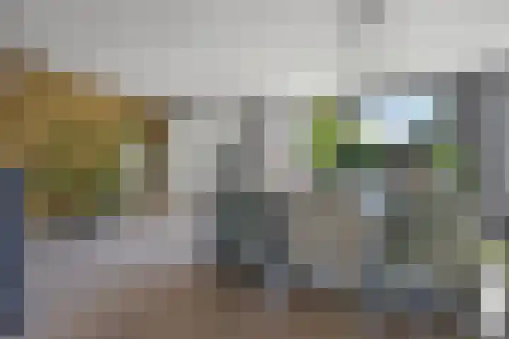 Karrestraat 6 Vlijmen thumbnail 9