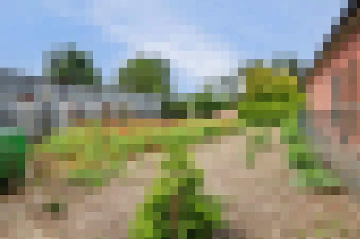 Karrestraat 7 B Vlijmen thumbnail 12