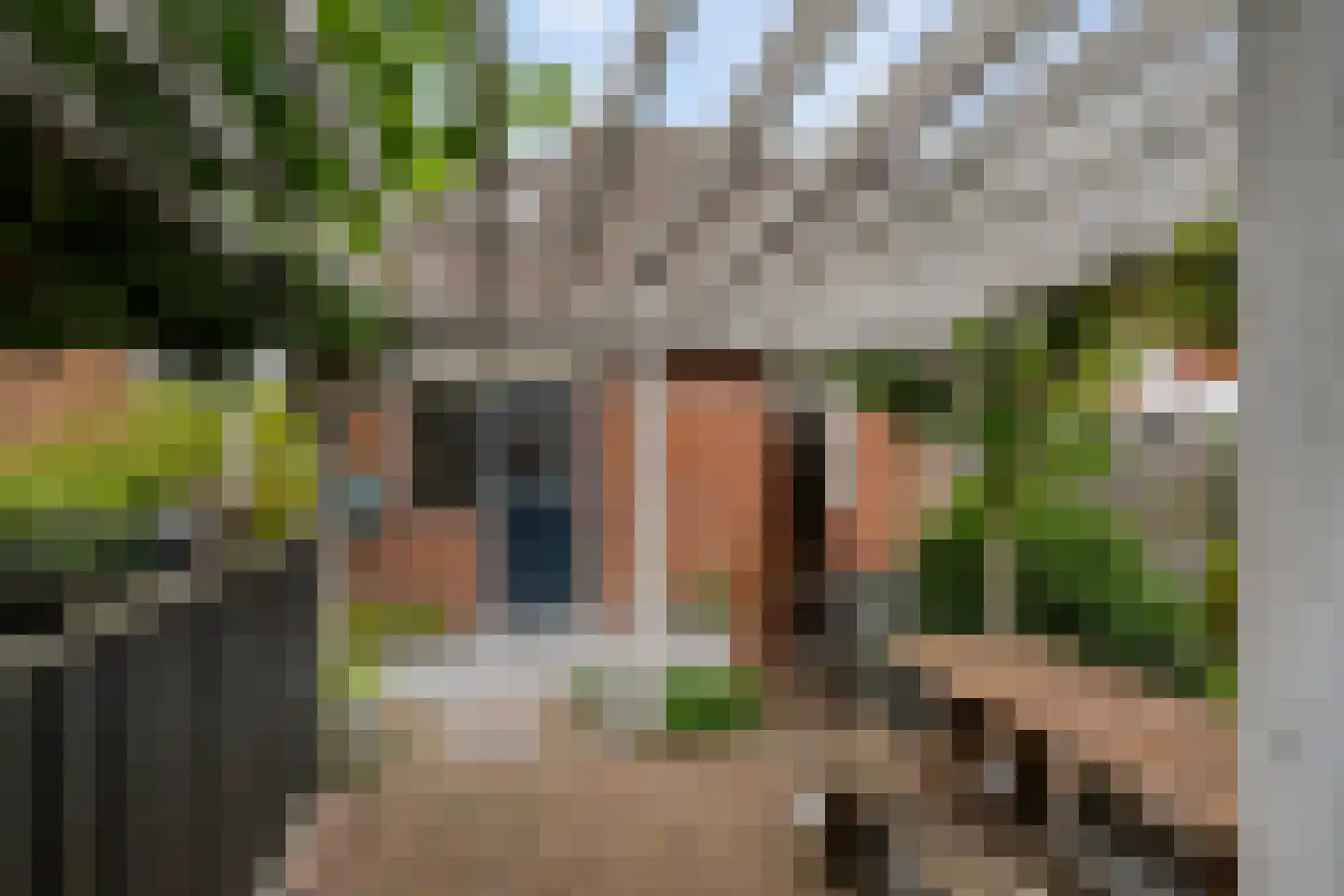 Karreveld 18 Sint Philipsland thumbnail 33