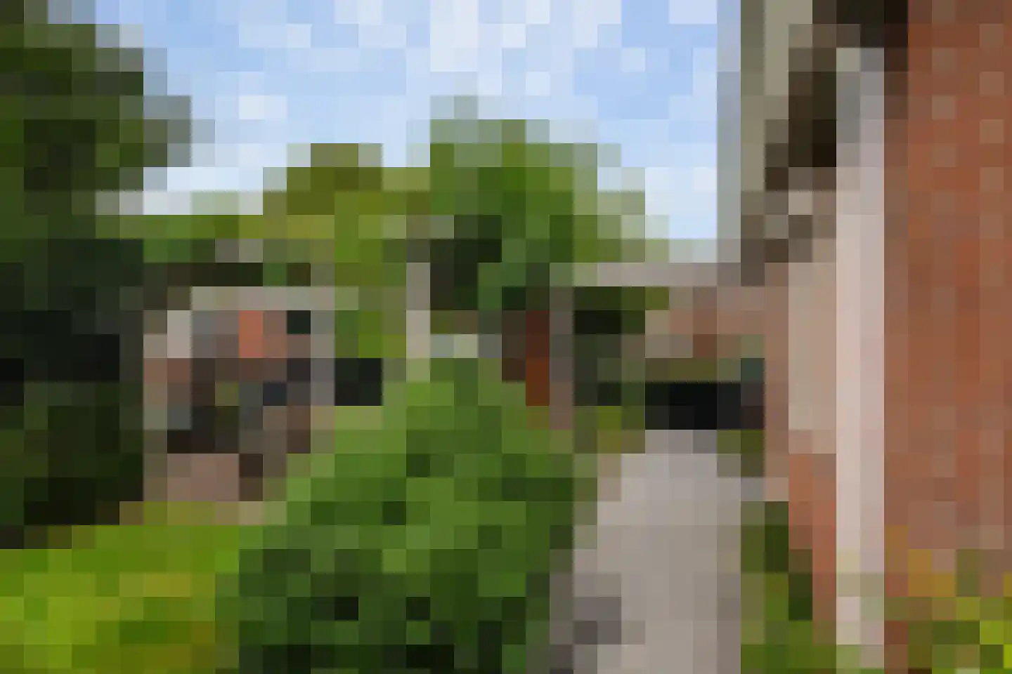 Karreveld 18 Sint Philipsland thumbnail 37
