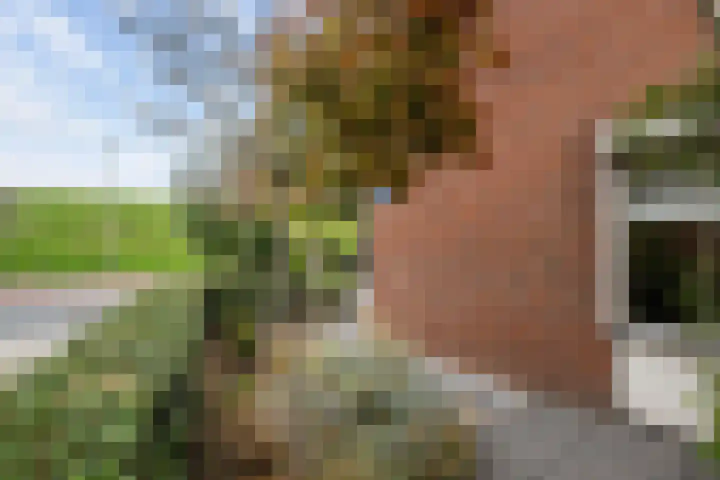 Karreveld 18 Sint Philipsland thumbnail 38