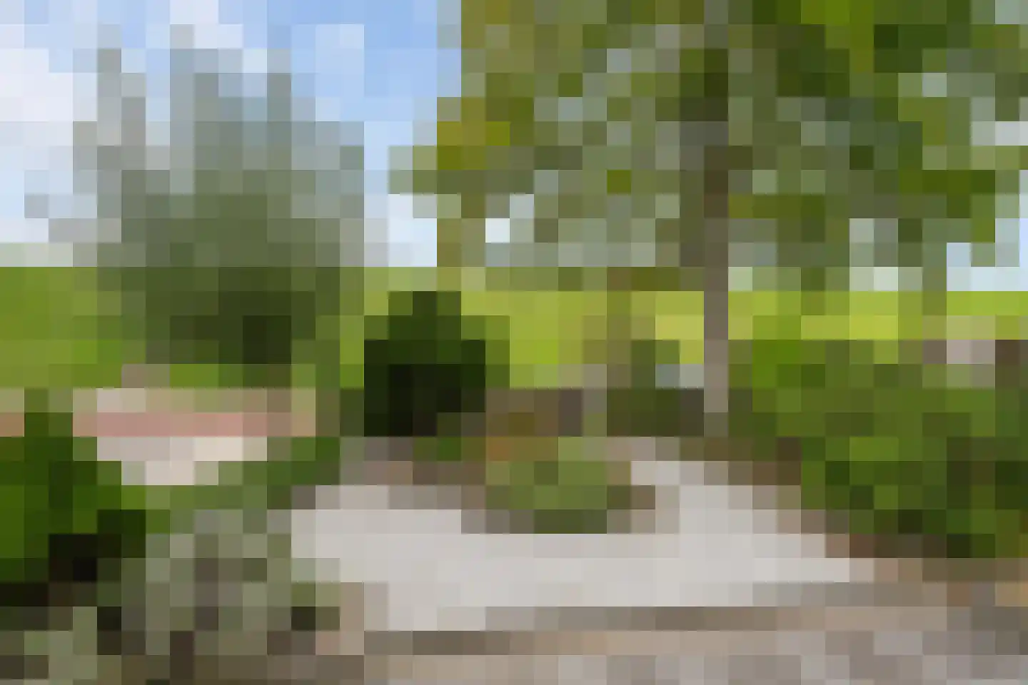 Karreveld 18 Sint Philipsland thumbnail 9