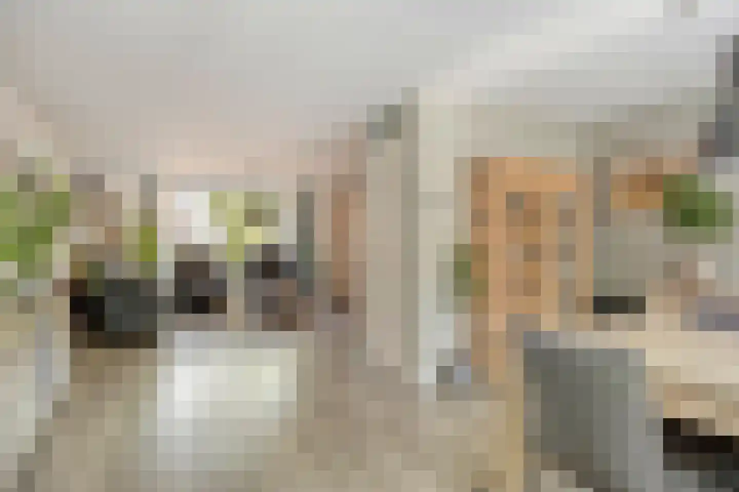 Karrevracht 2 Uden thumbnail 10