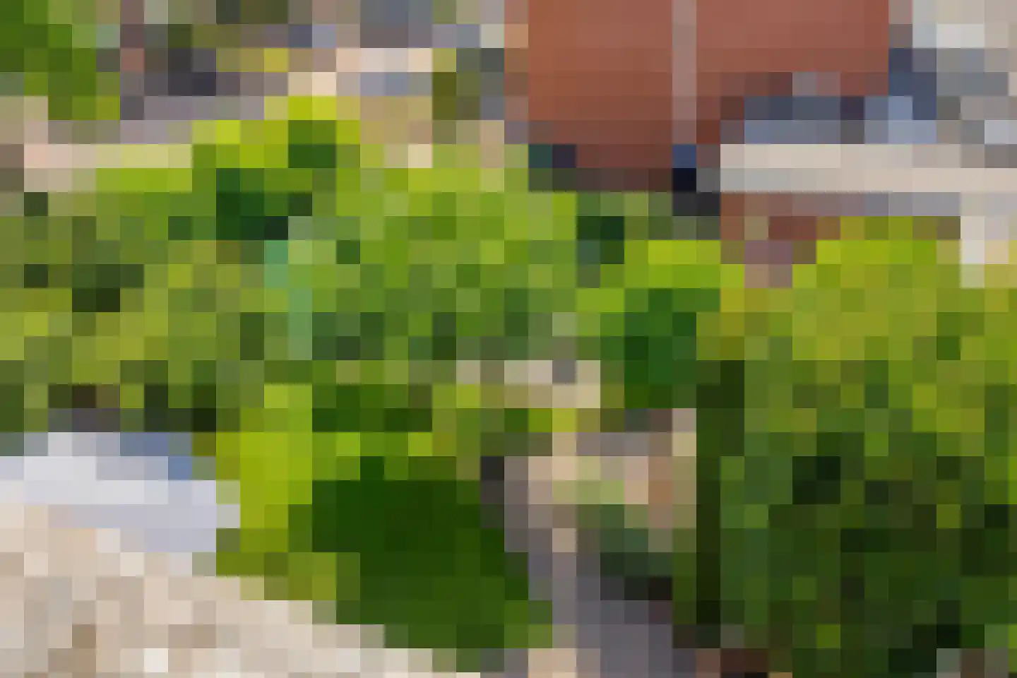 Karrevracht 2 Uden thumbnail 36