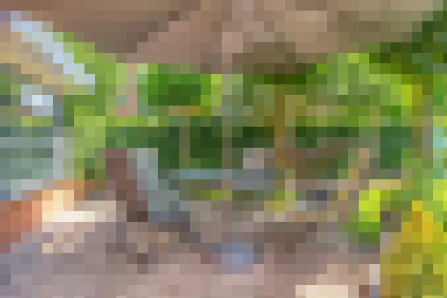 Karrevracht 2 Uden thumbnail 37