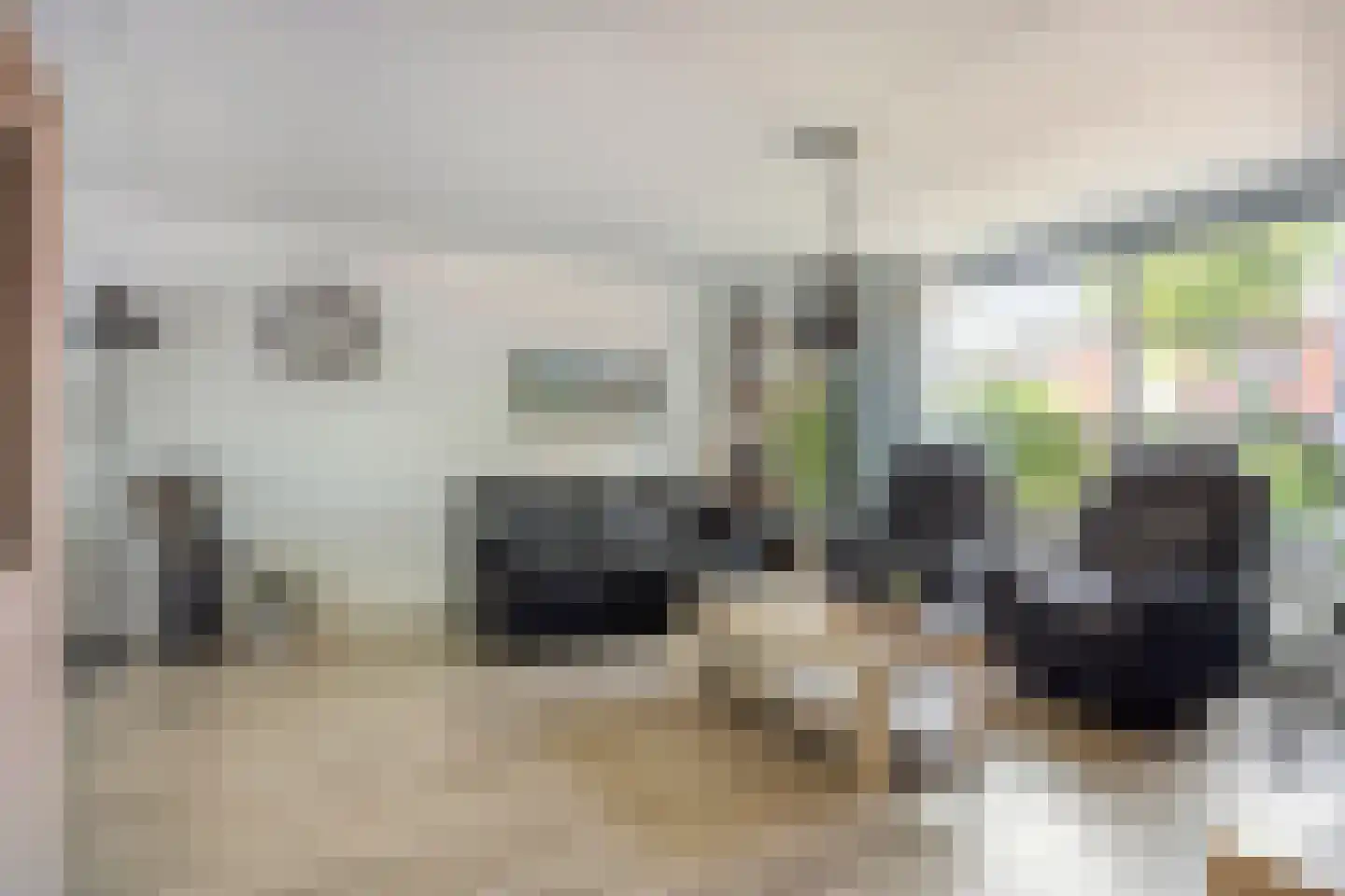 Karrevracht 2 Uden thumbnail 4