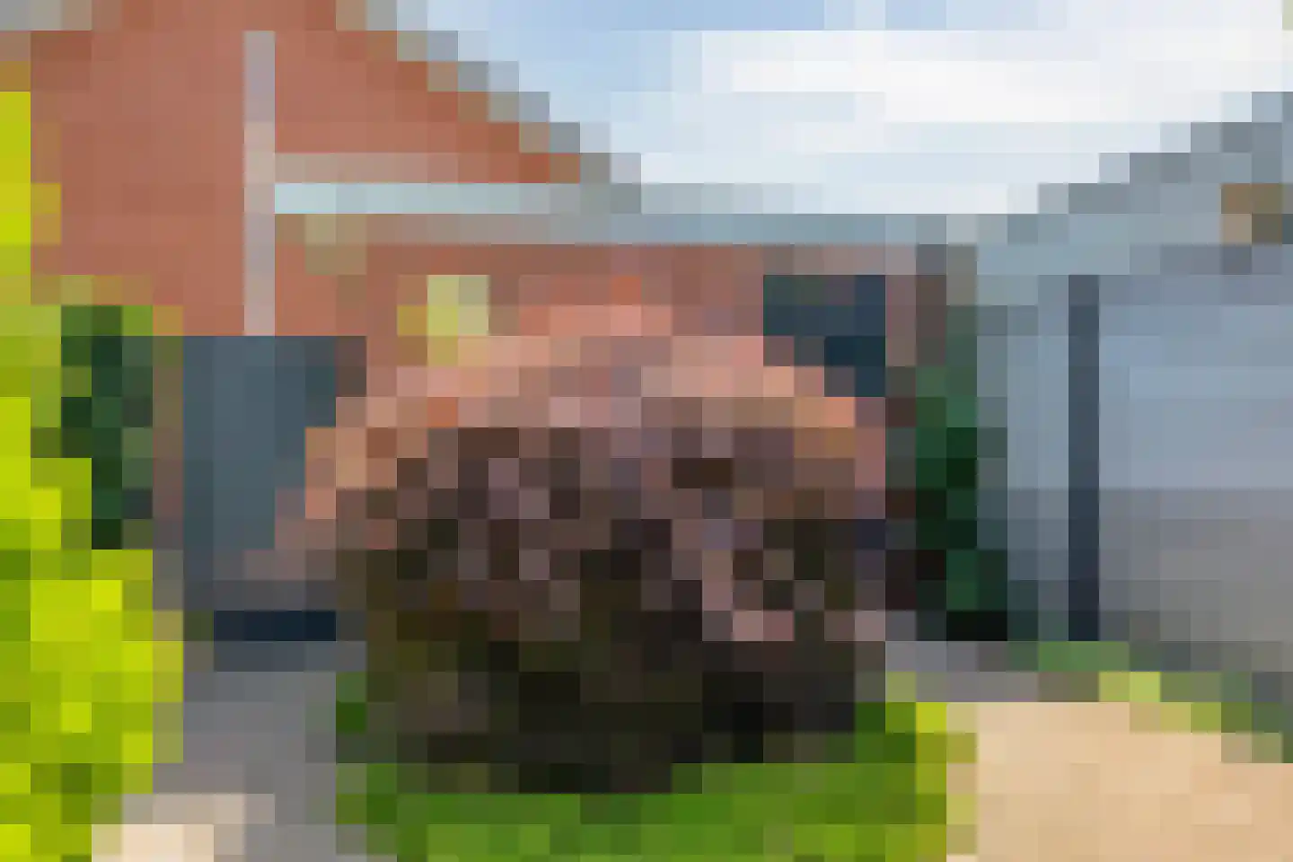 Karrevracht 2 Uden thumbnail 41
