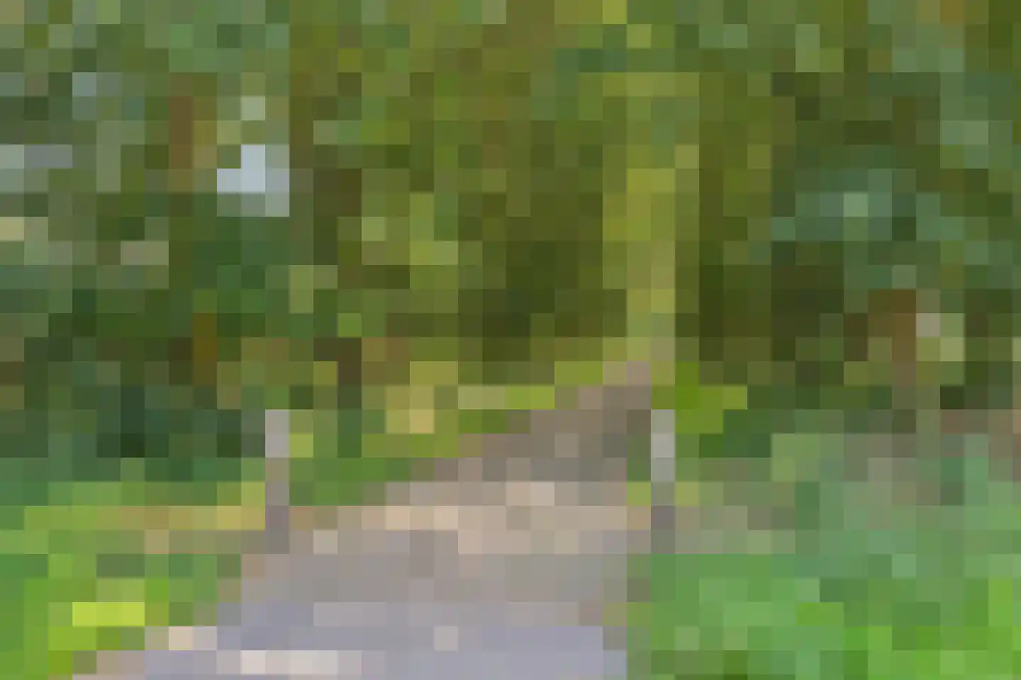 Karrevracht 2 Uden thumbnail 51