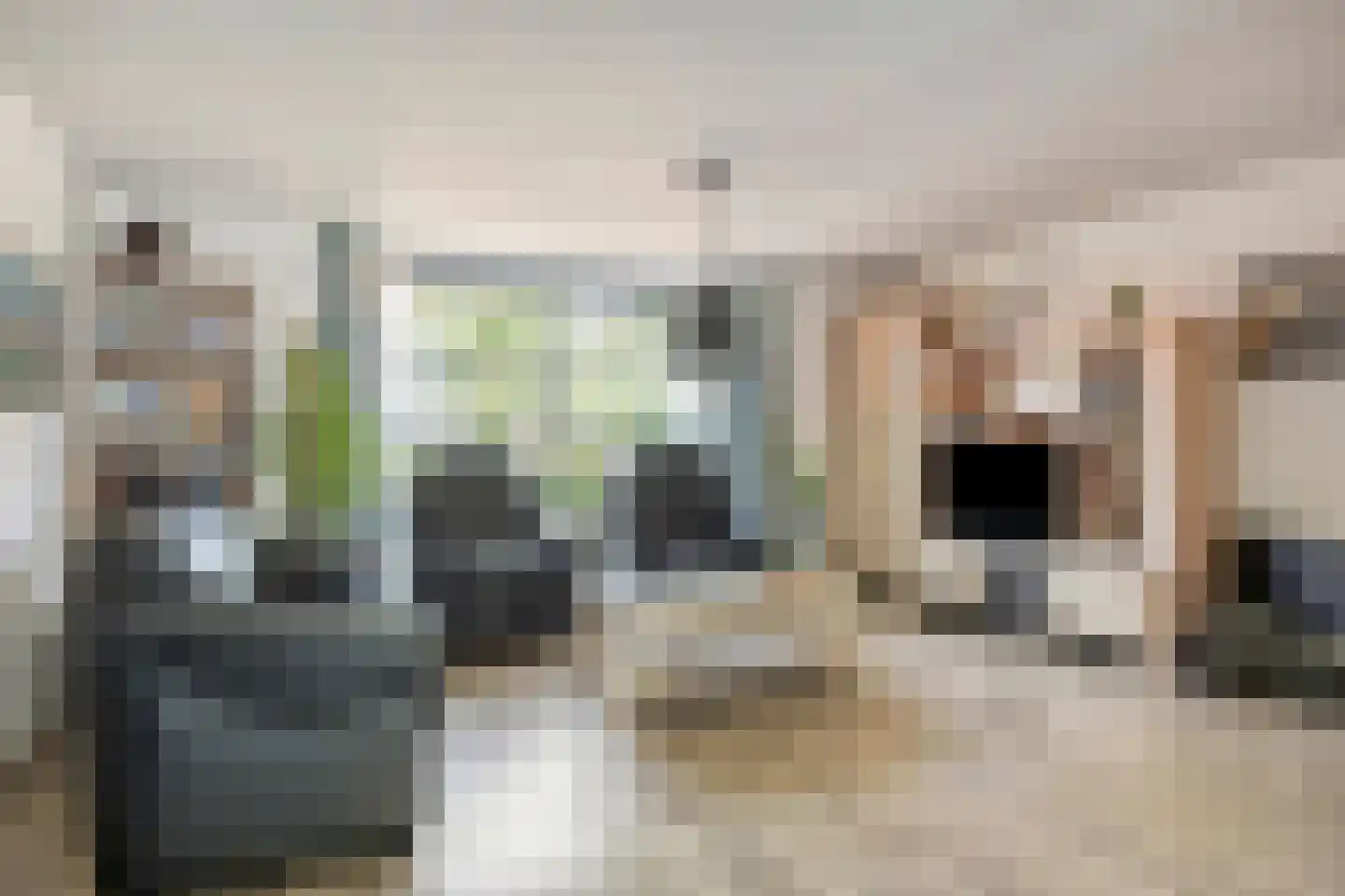 Karrevracht 2 Uden thumbnail 6