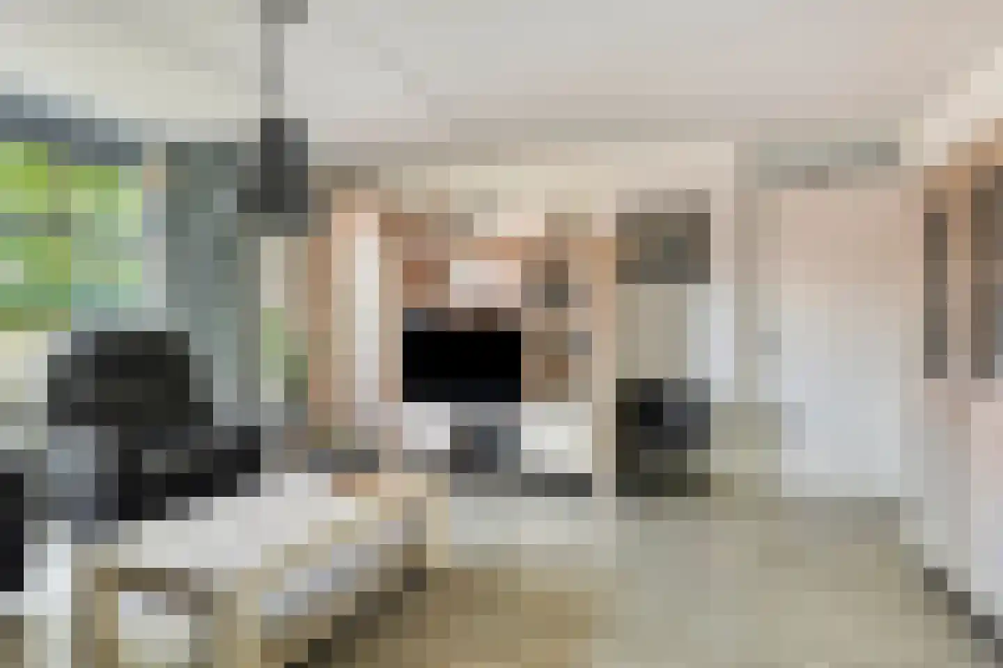 Karrevracht 2 Uden thumbnail 7