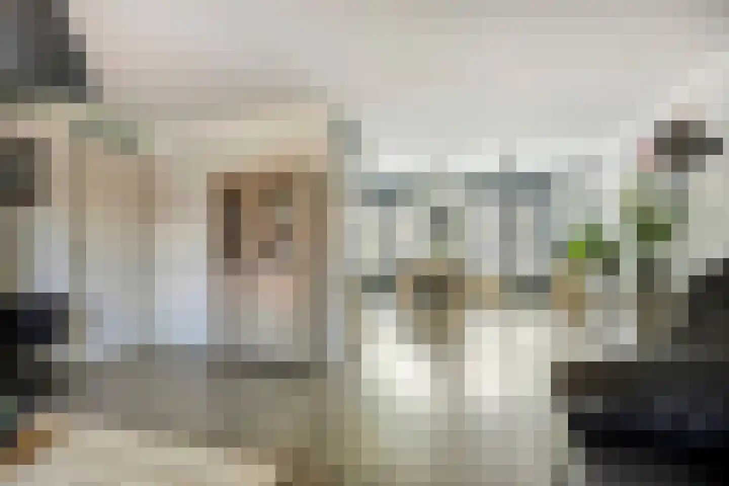 Karrevracht 2 Uden thumbnail 8