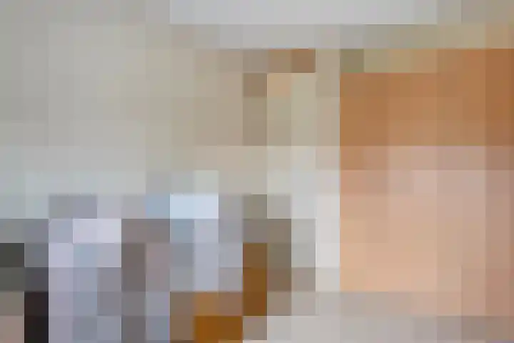 Karreweide 38 Broekland thumbnail 22