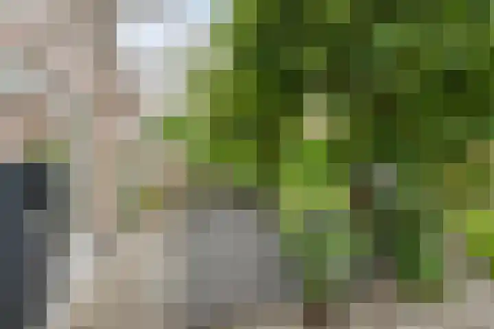 Karreweide 38 Broekland thumbnail 29