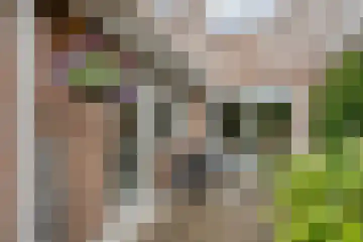 Karreweide 38 Broekland thumbnail 30