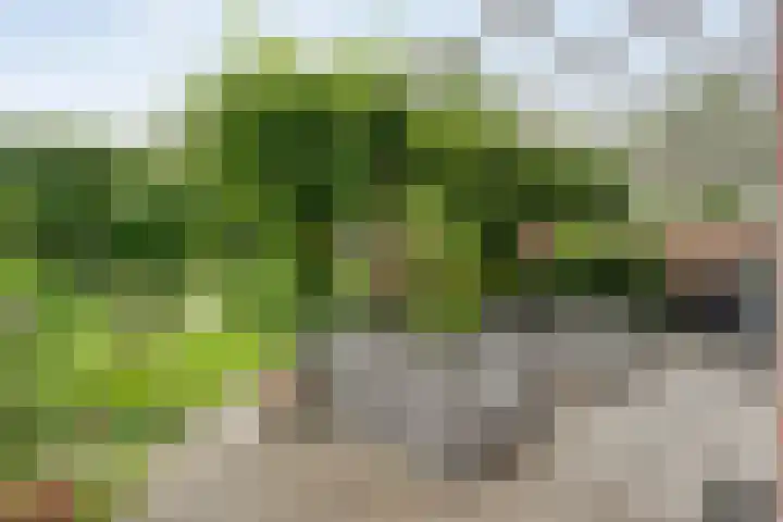 Karreweide 38 Broekland thumbnail 31