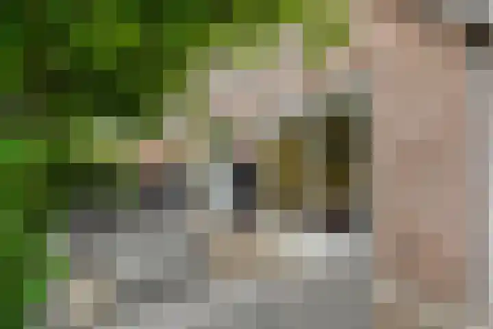 Karreweide 38 Broekland thumbnail 32