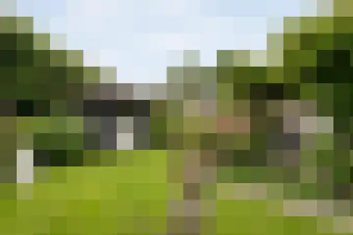 Karreweide 38 Broekland thumbnail 33