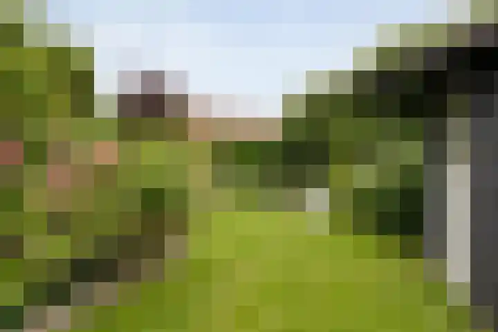 Karreweide 38 Broekland thumbnail 36