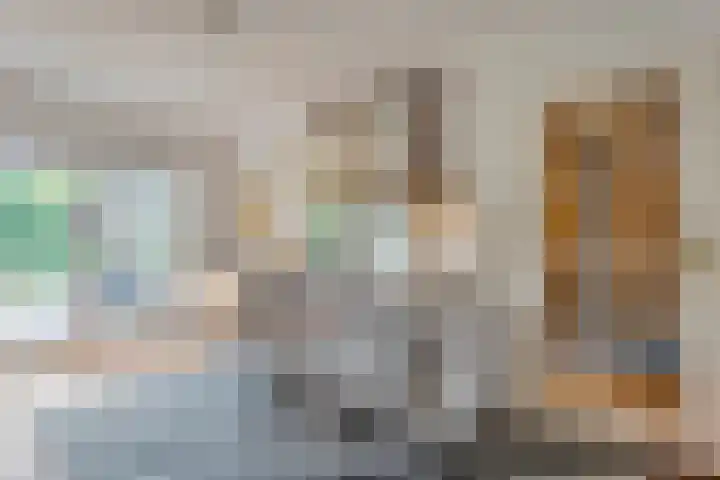 Karreweide 38 Broekland thumbnail 8