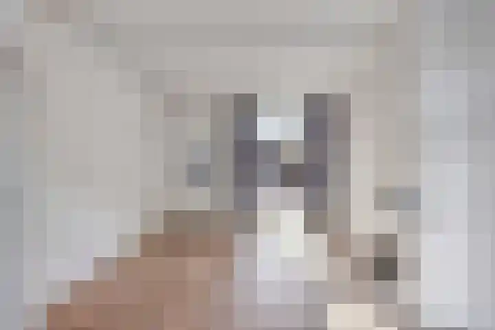 Karseboomstraat 2 Enkhuizen thumbnail 8