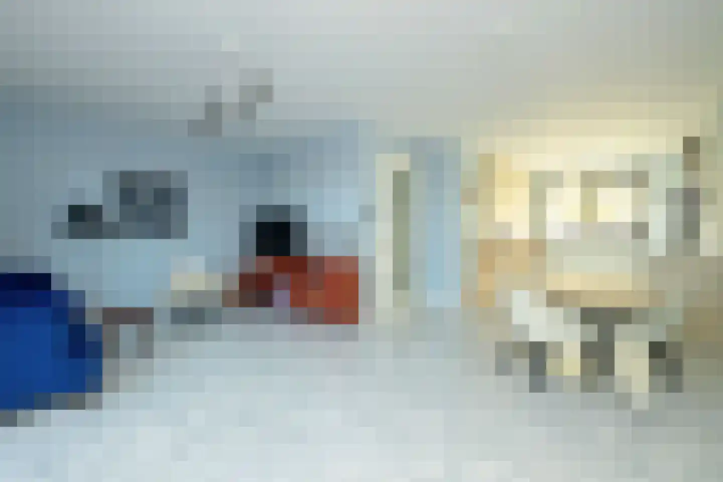 Karsenhof 5 Oegstgeest thumbnail 12