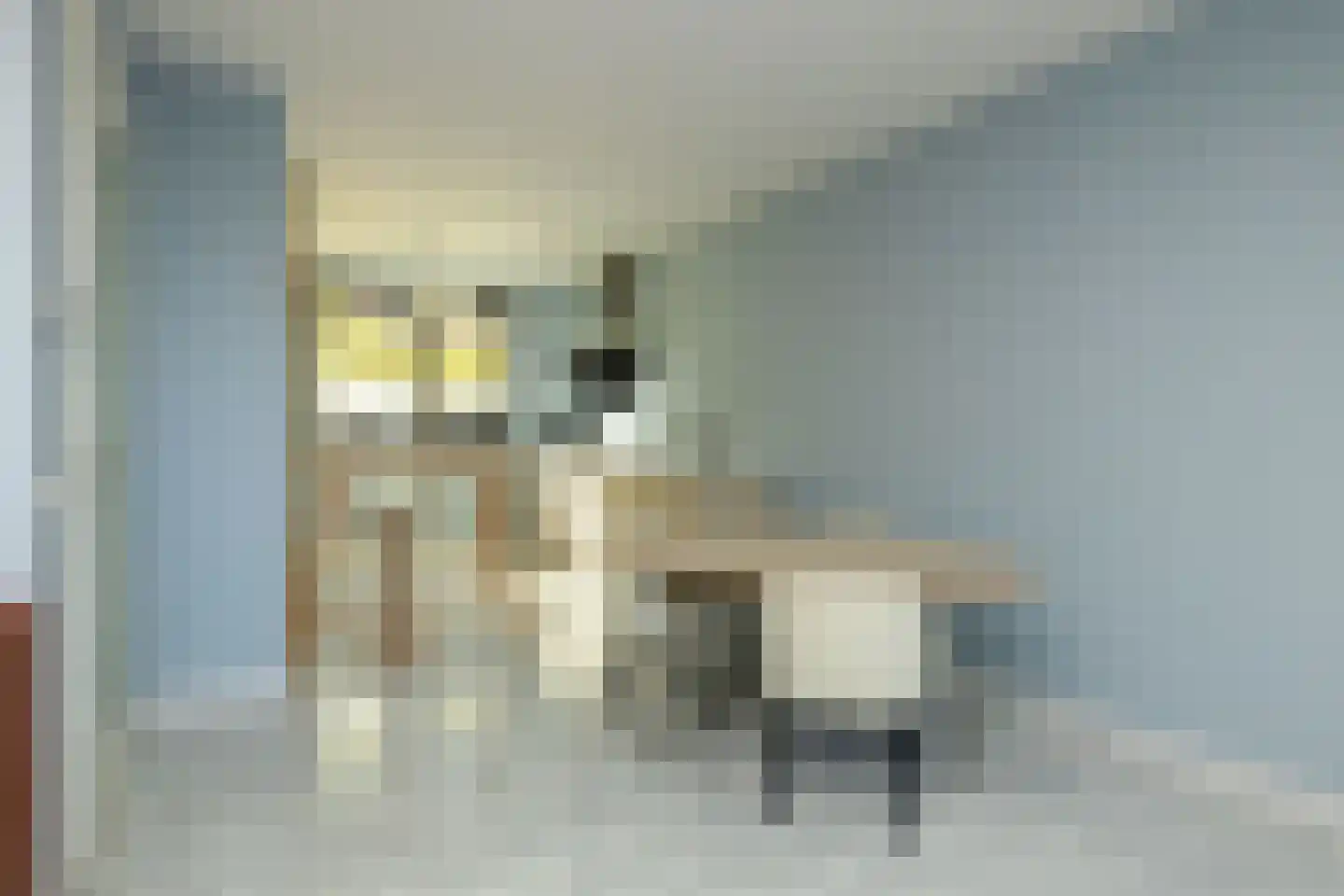 Karsenhof 5 Oegstgeest thumbnail 14