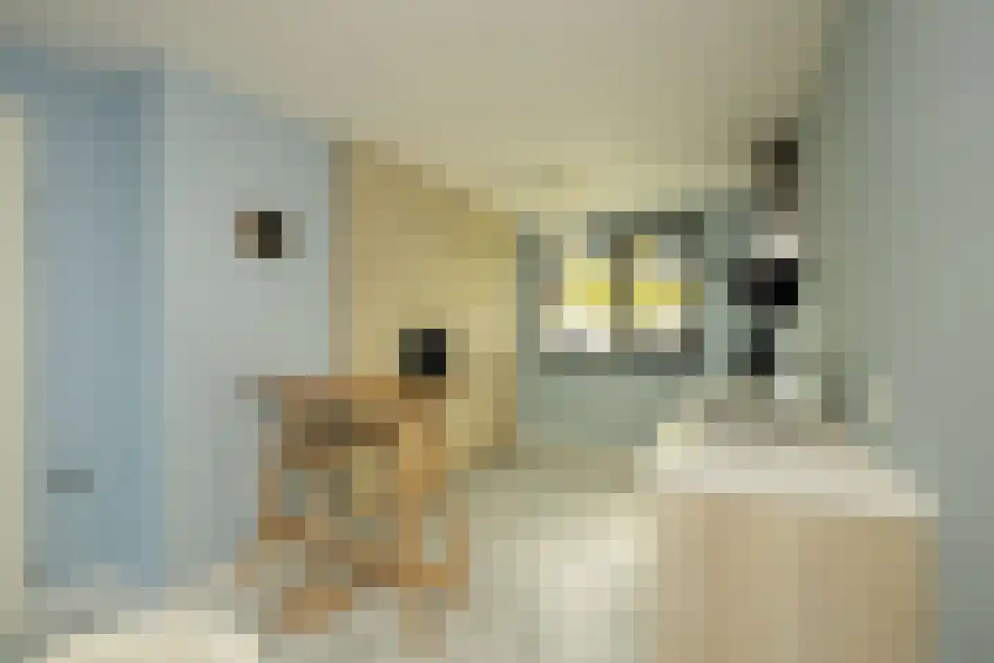 Karsenhof 5 Oegstgeest thumbnail 15