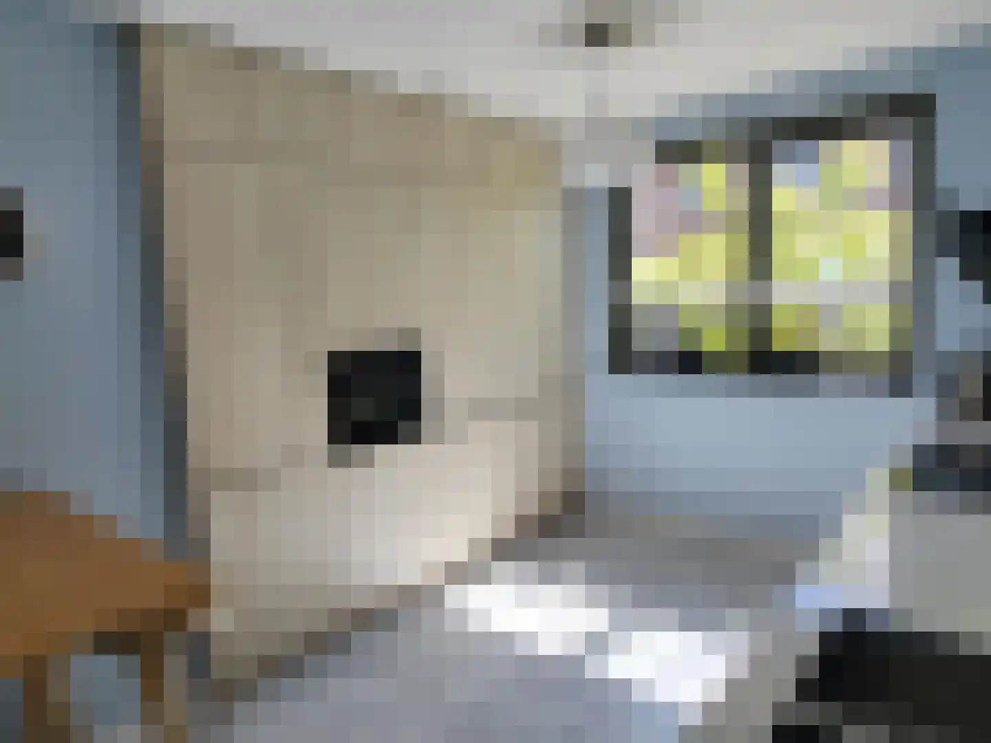 Karsenhof 5 Oegstgeest thumbnail 16