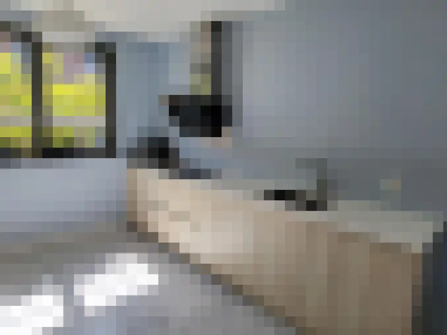 Karsenhof 5 Oegstgeest thumbnail 17