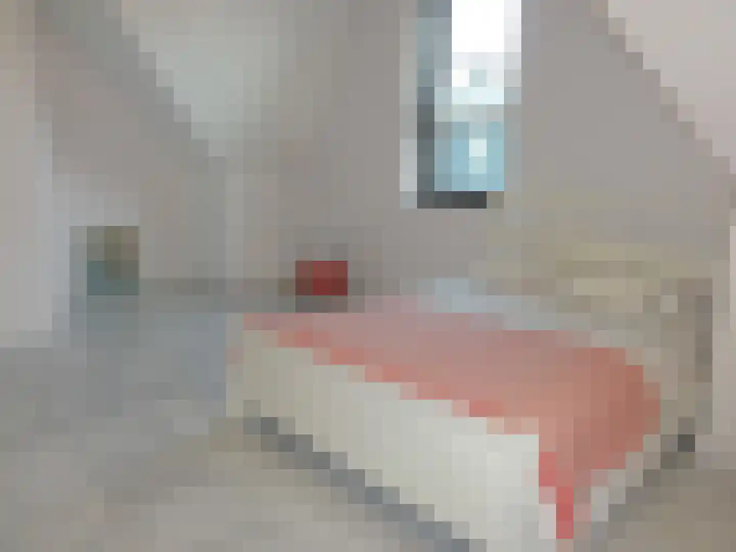 Karsenhof 5 Oegstgeest thumbnail 32
