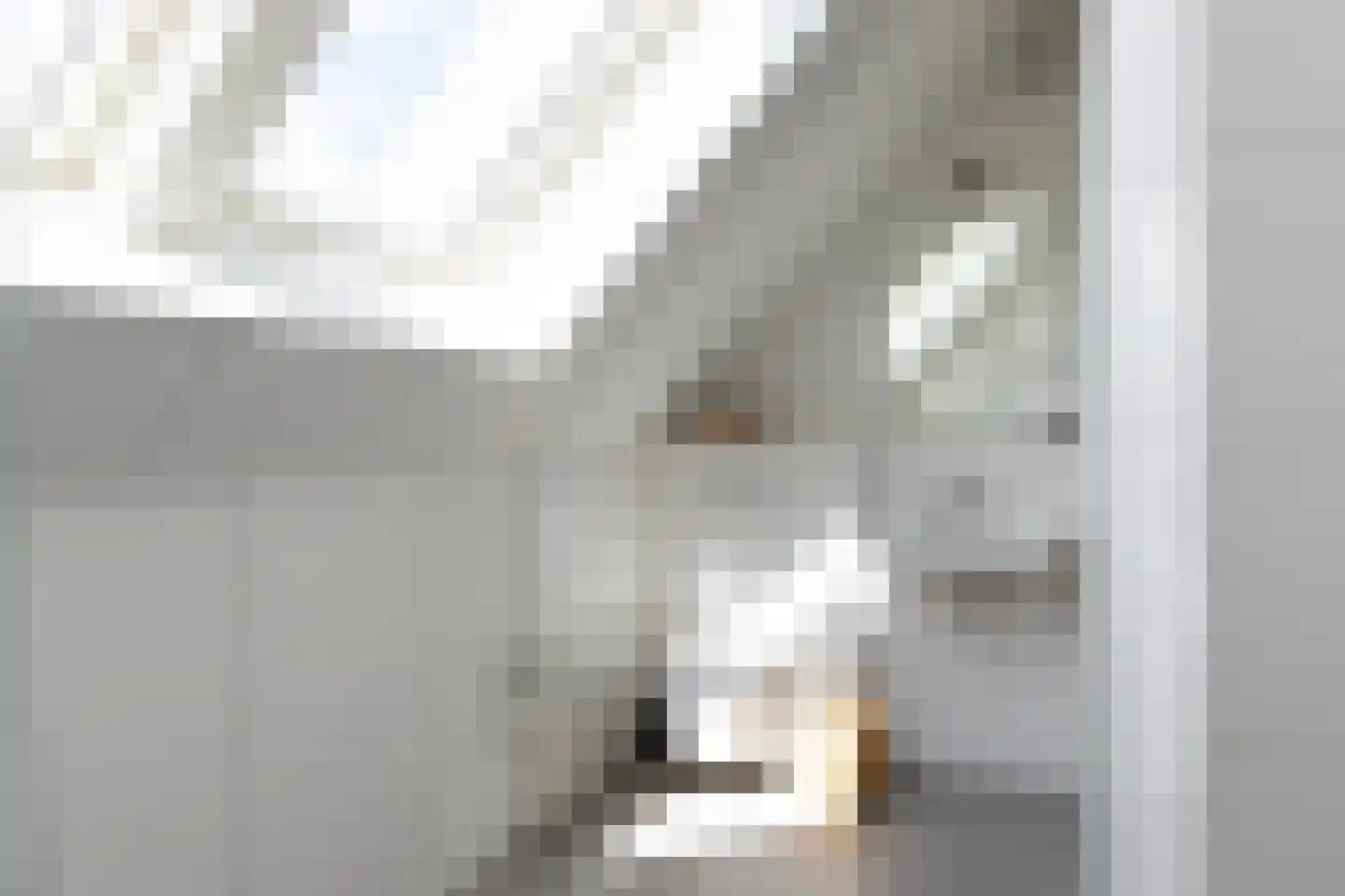 Karsenhof 5 Oegstgeest thumbnail 32