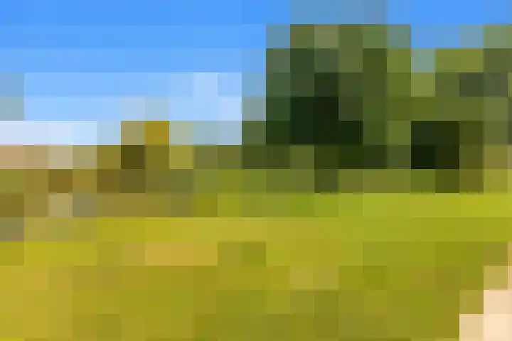 Karshoffstraat 10 Heemskerk thumbnail 31