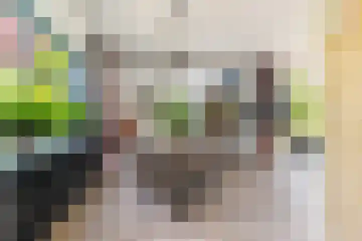Karshoffstraat 10 Heemskerk thumbnail 5