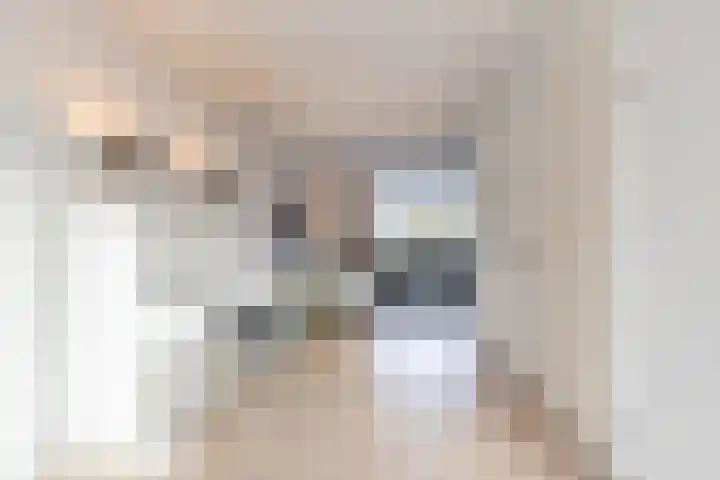 Karspel 10 Roden thumbnail 10