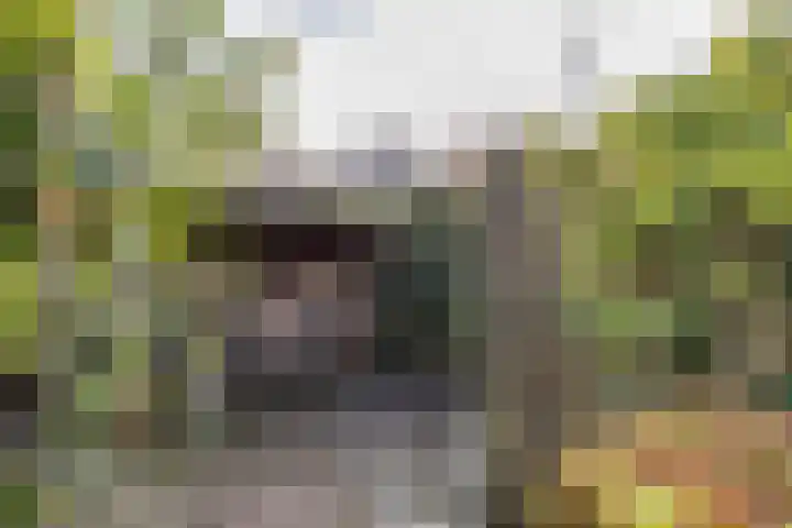 Karspel 10 Roden thumbnail 30