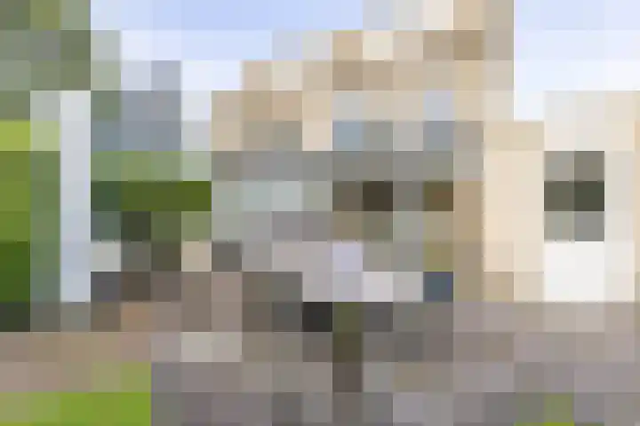 Karspel 10 Roden thumbnail 32