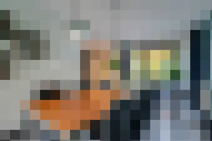 Karspel 7 Roden thumbnail 18