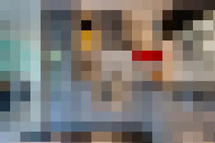 Karspel 7 Roden thumbnail 19