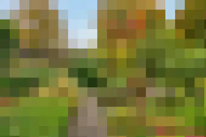 Karspel 7 Roden thumbnail 26