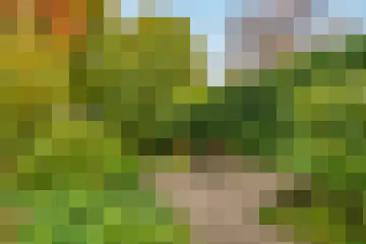 Karspel 7 Roden thumbnail 27