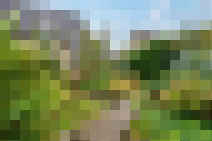 Karspel 7 Roden thumbnail 28